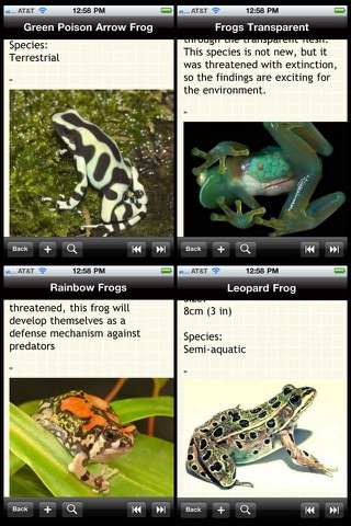 The Frogs Bible screenshot 2