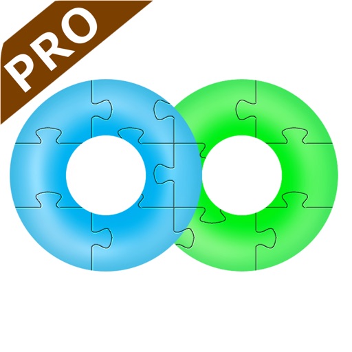 Annulus Pro Icon