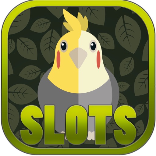 Classic Birds Slots - FREE Casino Machine For Test Your Lucky icon