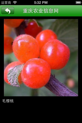 重庆农业信息网 screenshot 4