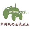 中国现代生态农业