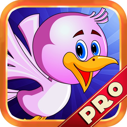 Splashy Birdy Shooter - Tiny Bird Shooting Adventure HD PRO Icon