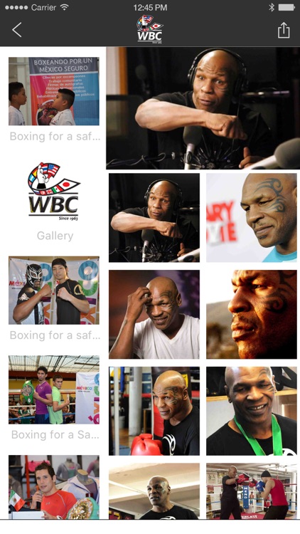 WBC Boxing screenshot-4