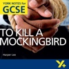 To Kill A Mockingbird York Notes GCSE