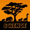 Icon Animal Kingdom Science For Kids