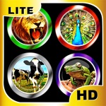 Lots of Animal Sounds Lite Big and Mega Sound Box Extreme