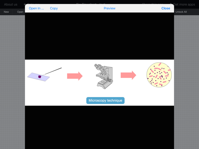 Bio Flowchart(圖4)-速報App