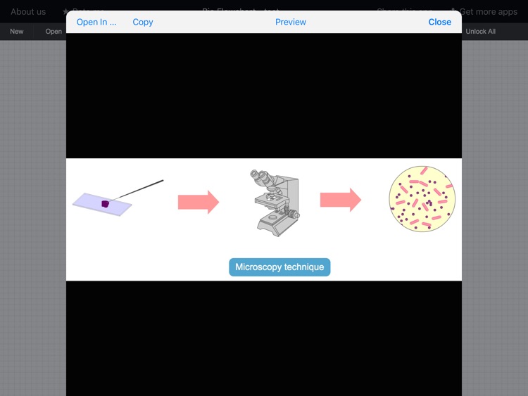 Bio Flowchart screenshot-3