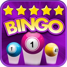 Activities of Top Bingo - Bash & Fun