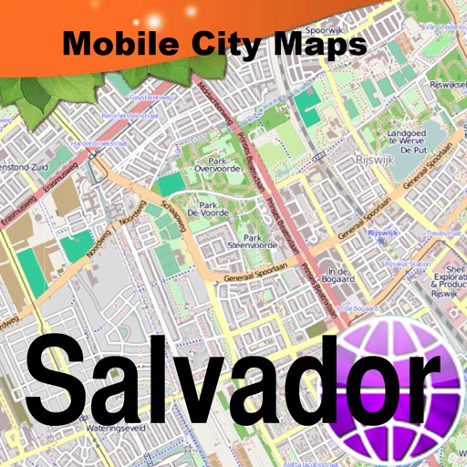 Map of Salvador icon