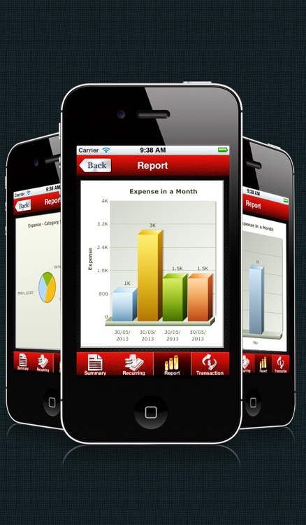 My Pocket Accountant screenshot-3