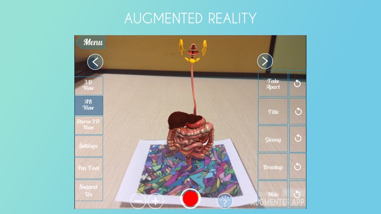 VR Human Digestive System