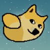 Flappy Doge