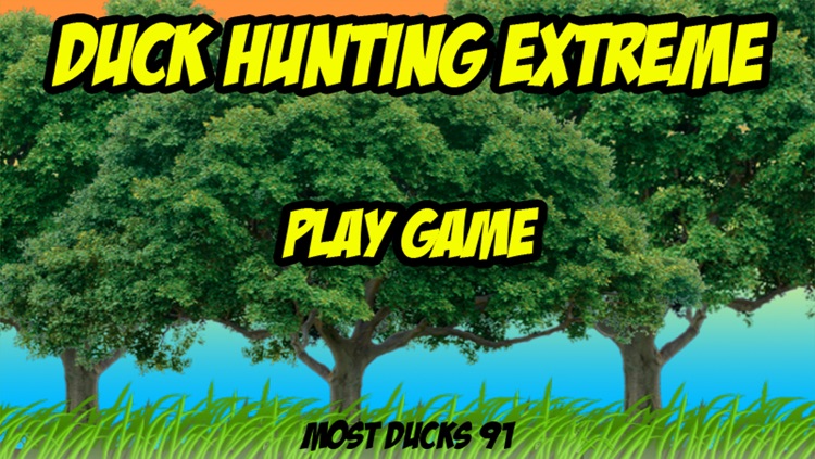 Duck Hunting Extreme