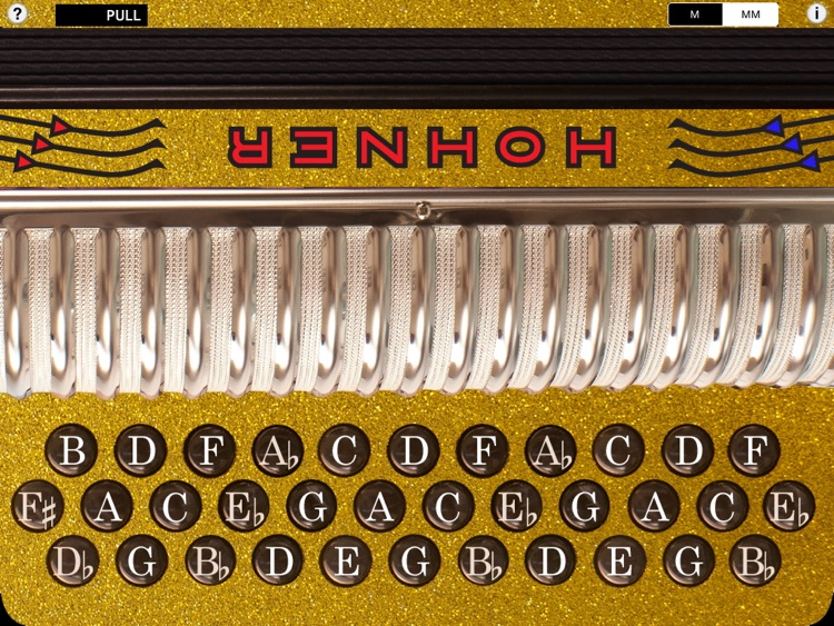 Hohner-FBbEb Xtreme SqueezeBox