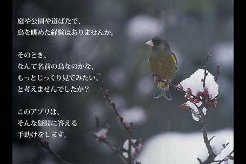 鳥ナビ～1年で120種類の野鳥と出会えるガイド・冬編 screenshot 2