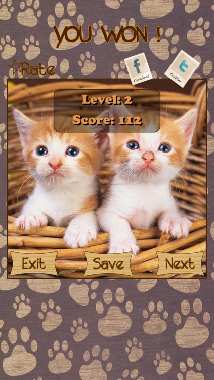 Kitten Slide Puzzles screenshot-3