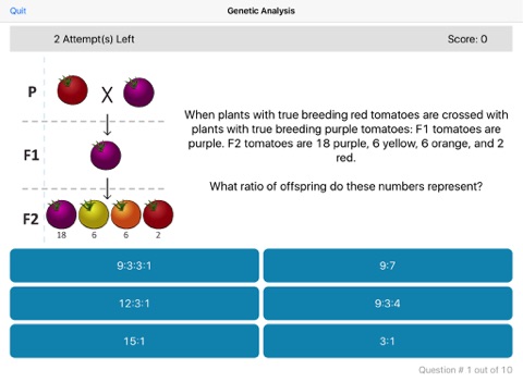 Elite Gene Team screenshot 3