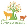 Crossroads Animal Hospital