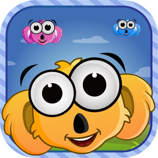 Koala Pop iOS App