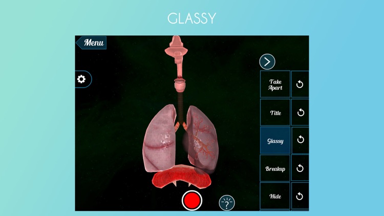 Virtual Reality(VR)Human Lungs screenshot-3