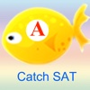 Catch SAT Words