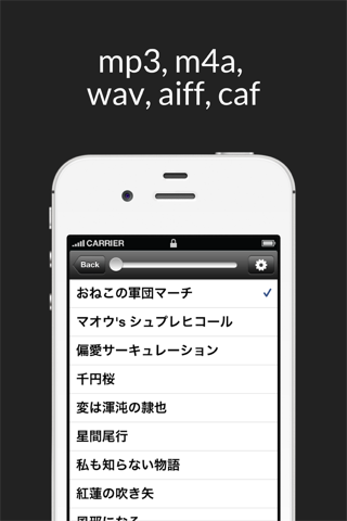Passcode MP3 Player screenshot 4