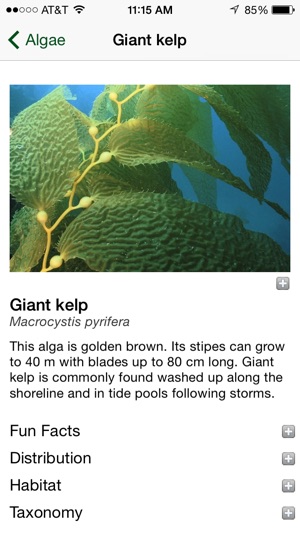 California Kelp Forests(圖4)-速報App