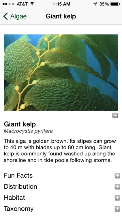 California Kelp Forests screenshot-3