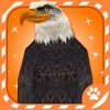 Virtual Pet Eagle
