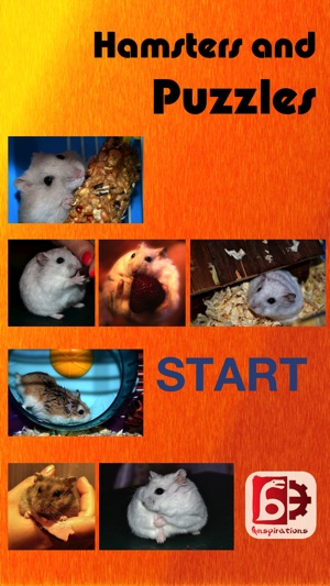 Hamsters And Puzzles(圖1)-速報App