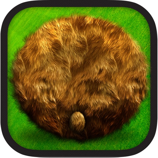 Hamuketsu - Hamster Bottom Bouncer iOS App