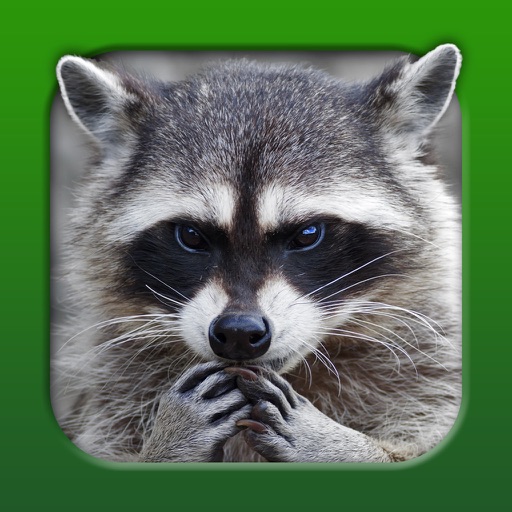 Jagdpraxis iOS App