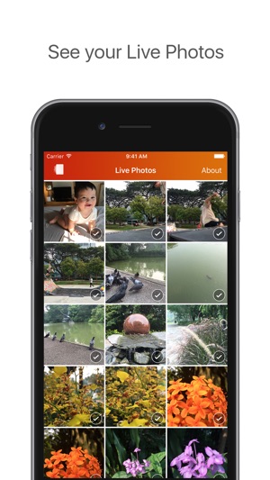 Lean - Clean up your Live Photos