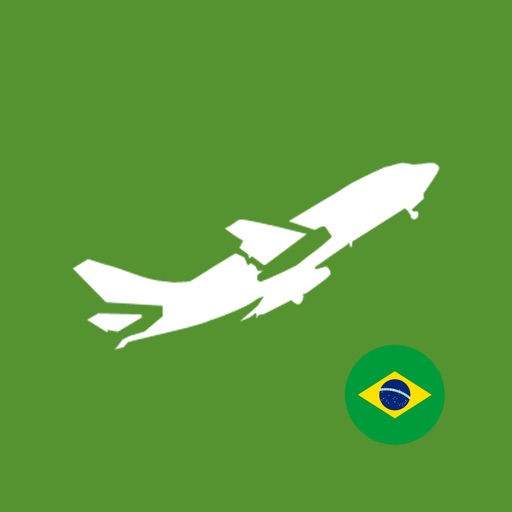 Brazil Flight