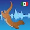 Learn Spanish with speech recognition - Otterwave