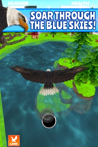 Virtual Pet Eagle screenshot 2