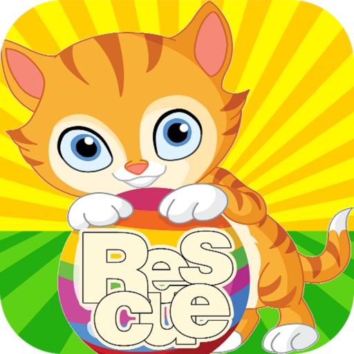 Cat Rescue PRO - Unlimited Word Scrambler to Guess and Improve English Vocabulary and Free the Ninja Cats icon