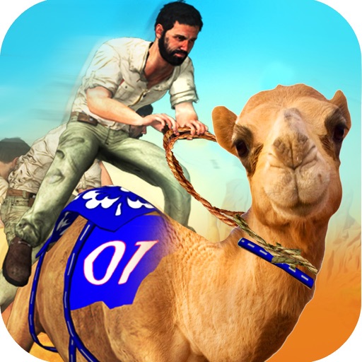Amazing Camel Joy Ride