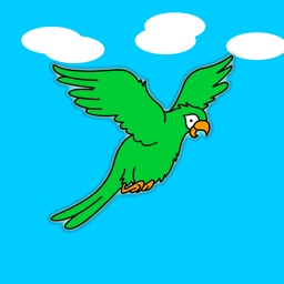 Caribbean Flappy Parrot