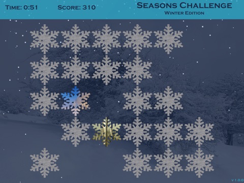 Seasons Challenge:  Winter Edition HD screenshot 3