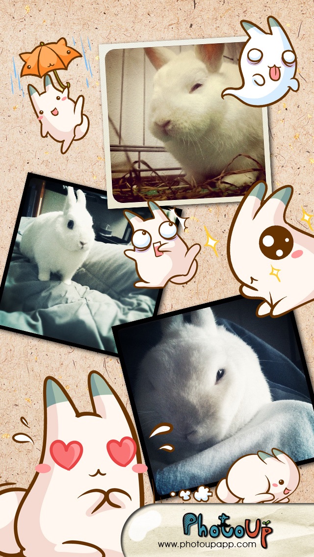 How to cancel & delete Nabbit Cam by PhotoUp - Cute  Rabbit Bunny Cat Stamps Photo Frame Filter Decoration App from iphone & ipad 4