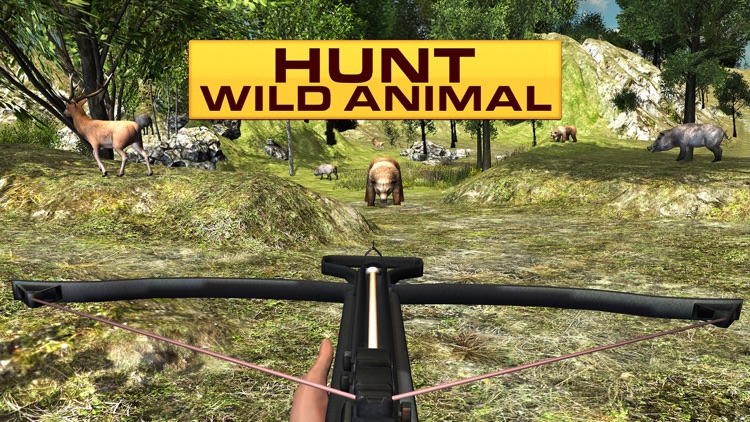 Wild hunting 3D – Bow arrow animal hunter game