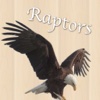 Raptors of the U.S. and Canada