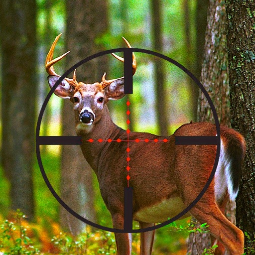 Whitetail Deer Hunter 2 Icon