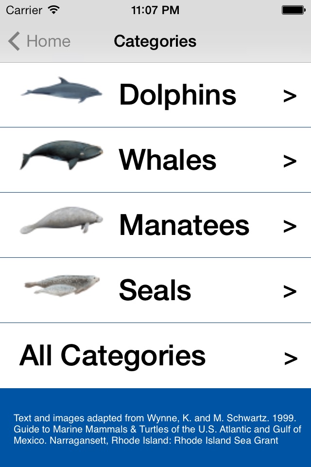 See & ID Dolphins & Whales screenshot 3
