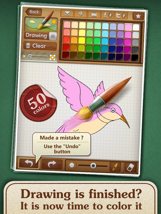 Drawing lessons: Learn how to draw birds! screenshot-3