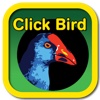 Click Bird