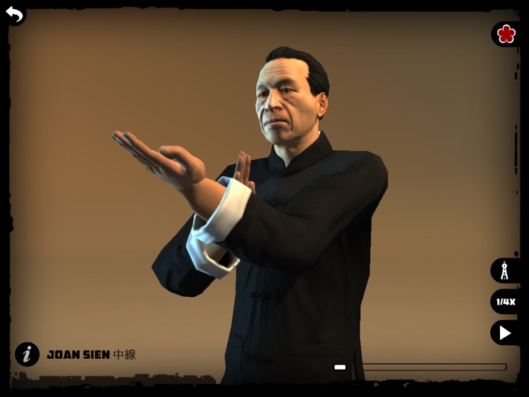 Ip Man Wing Chun Kung Fu : Siu Lim Tao HD