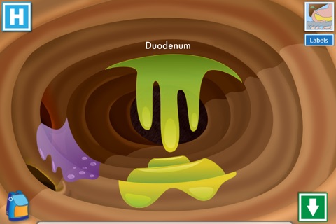 The Amazing Digestive Journey screenshot 2